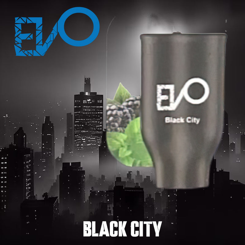 EVO HOOKAH DISPOSABLE 6CT/DISPLAY