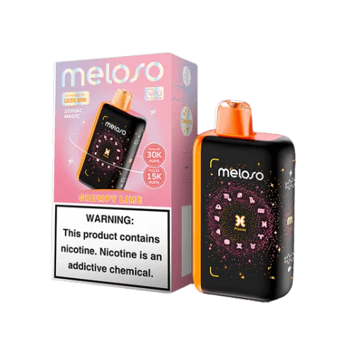 GEEK BAR MELOSO 30K PUFFS RECHARGEABLE DISPOSABLE VAPE 5CT/DISPLAY